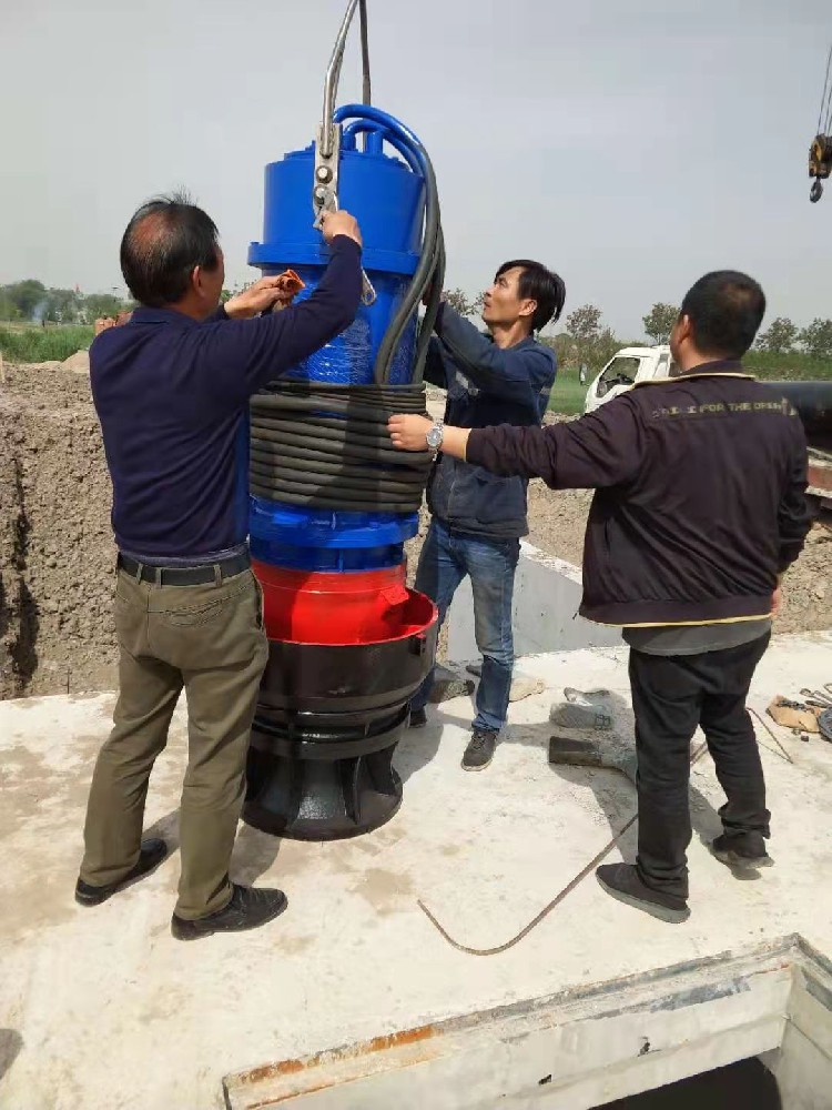 天津市津南区双桥8村庄水系联通项目水泵安装